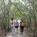 Explore Orang Utan 3H2M