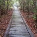 Explore Orang Utan 3H2M