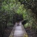 Explore Orang Utan 3H2M
