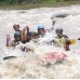 Paket rafting sungai elo magelang family trip 