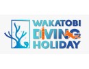 Wakatobi Dive