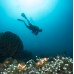 Paket Menyelam Wakatobi 5D4N