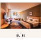 Suite  Room -  De Laxston Hotel Yogyakarta 