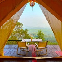 Azalea (Luxury Flying Camp)