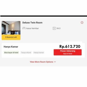 Deluxe Twin Room - Sunerra D'djabu Seminyak