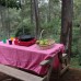 Homestay Foresto Lembang