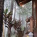 Homestay Foresto Lembang