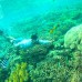 NUSA PENIDA FULL DAY TRIP PAKET E (Private)
