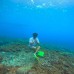 NUSA PENIDA FULL DAY TRIP PAKET E (Private)