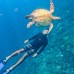 NUSA PENIDA FULL DAY TRIP PAKET E (Private)