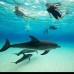Paket Wisata Pulau Zanzibar 6Hari 5Malam
