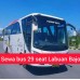 Rental Bis Medium labuan bajo (29-35 seat)