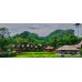 Open Trip Toraja 3H2M 