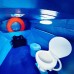 Privat Komodo  Speed Boat  III & VII (Toilet, AC)