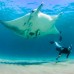 Full Day Komodo Trip dari Labuan Bajo (Sharing Trip) 