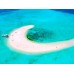 Full Day Komodo Trip dari Labuan Bajo (Sharing Trip) 