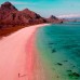 Full Day Komodo Trip dari Labuan Bajo (Sharing Trip) 
