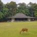 Open Trip Ujung Kulon 3H2M