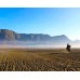 Paket Tour Bromo Fullday