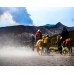 Paket Tour Bromo Fullday
