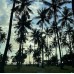 Tour Lombok  3D2N