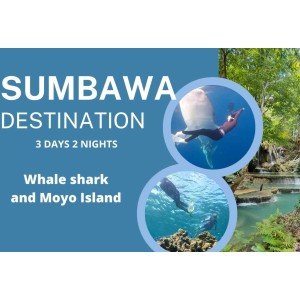 Whaleshark Sumbawa Tour 3h2m (Moyo Island)