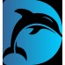 Dolphin Snorkling Tour 