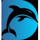 Dolphin Tour Paket Lengkap (watching, swimming, Snorkling)