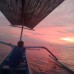 Dolphin Snorkling Tour 