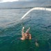 Dolphin Snorkling Tour 