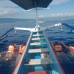 Dolphin Snorkling Tour 