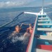 Dolphin Snorkling Tour 