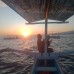 Dolphin Snorkling Tour 