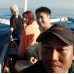 Dolphin Snorkling Tour 