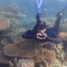 PRIVATE TRIP KARIMUN JAWA 3H2M