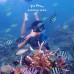Private Trip Karimun Jawa  3H2M